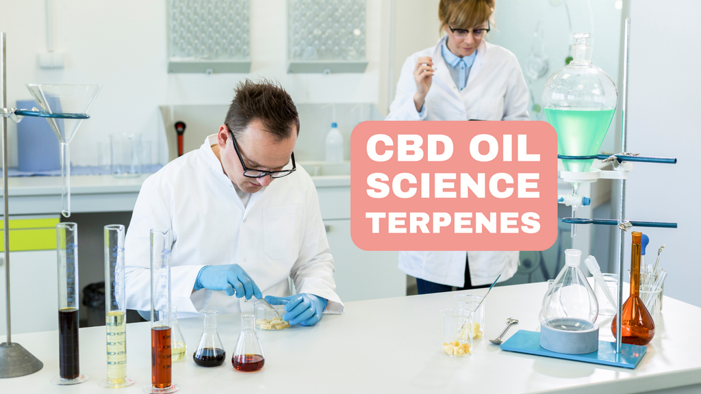 Verständnis der Wissenschaft der Terpene und ihrer Rolle in der Synergie mit CBD-Öl