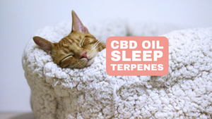 CBD and Terpenes for a Better Night's Sleep Improve Your Sleep Quality Naturally