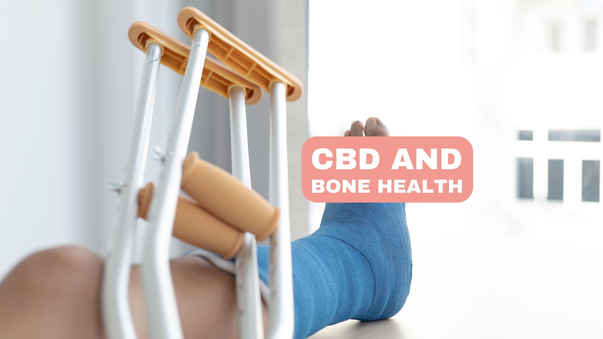 CBD and Bone Health: A Deep Dive into The Healing Power of Cannabidiol