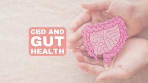 CBD and Gut Health: The Impact of CBD on the Gut Microbiome and Its Potential for Treating Digestive Disorders