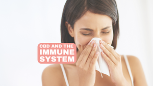 CBD and the Immune System: The Potential of CBD as an Immunomodulator and its Impact on Immune Health